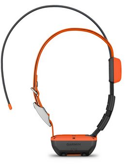 Garmin Collare Alpha T20K