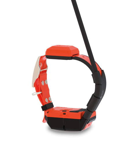 Dogtrace GPS X40 – Collare satellitare GPS