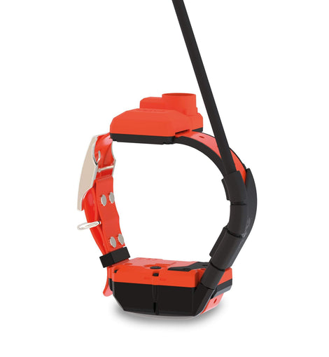 Dogtrace GPS X40B – Collare GPS per cani con beeper