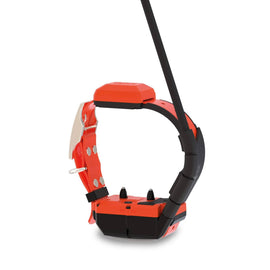 Dogtrace GPS X40T – Collare GPS per cani con funzione di addestramento