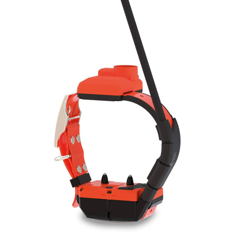 Dogtrace GPS X40TB – Collare satellitare con addestramento e Beeper