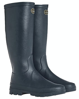 Le chameau Anjou evolution